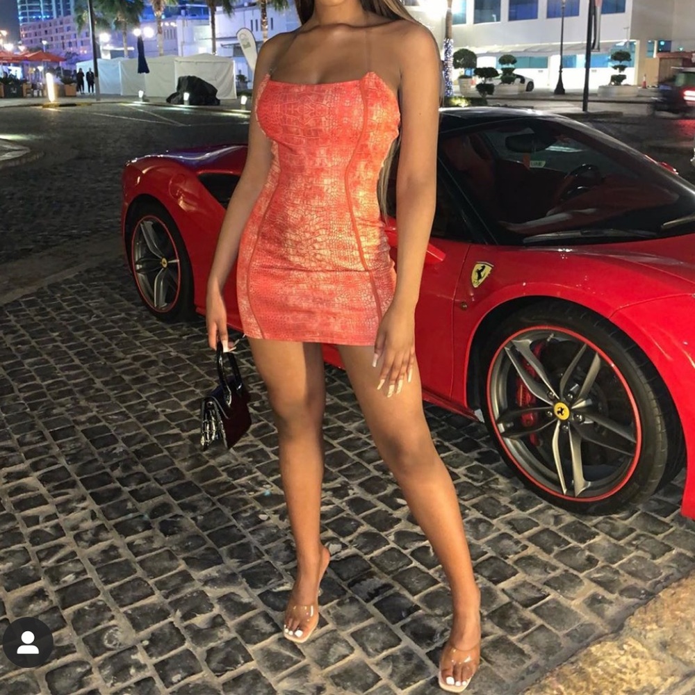 PLT Red Snake Print Dress